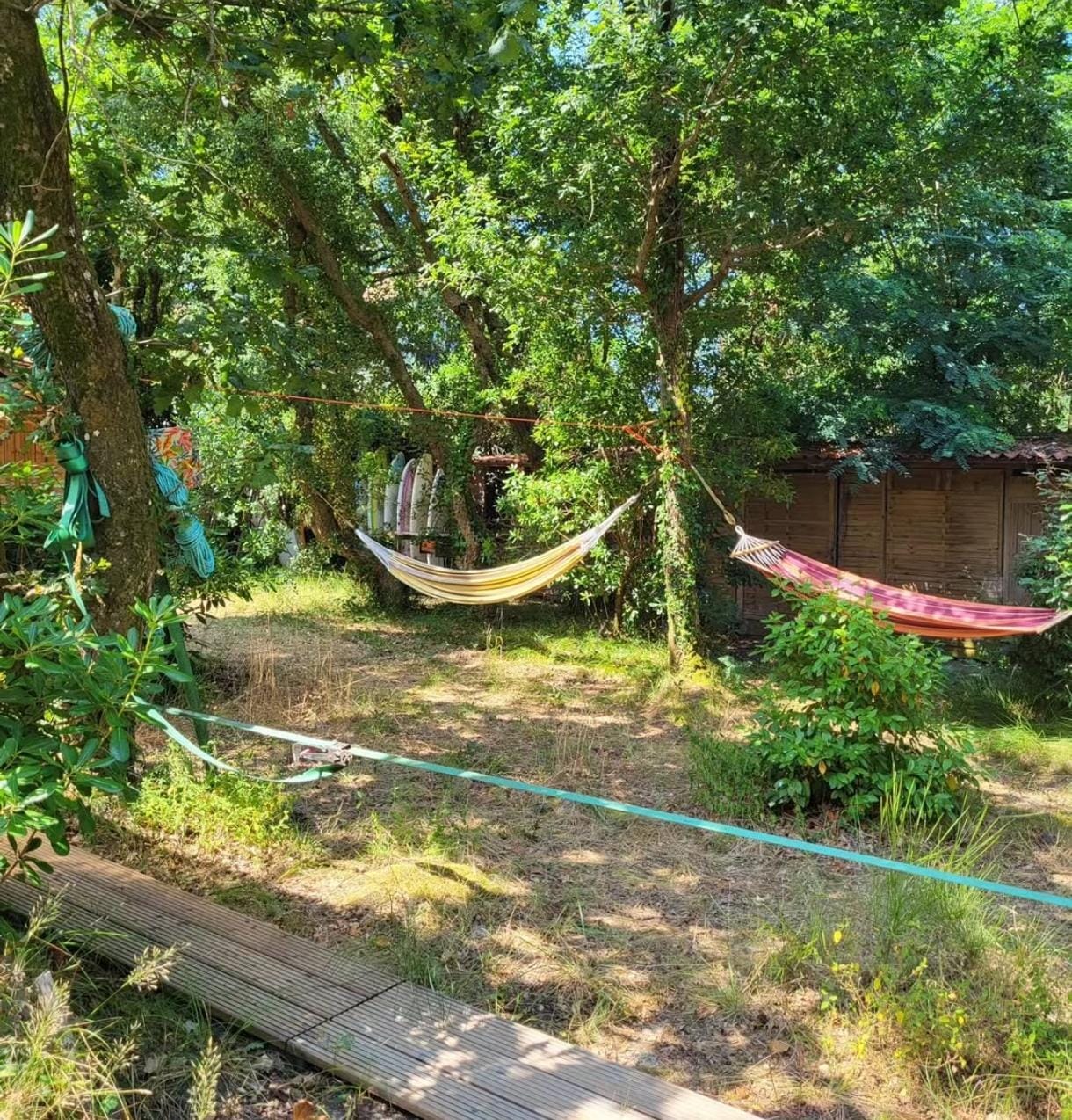 Hängematten zwischen Bäumen zum Chillen